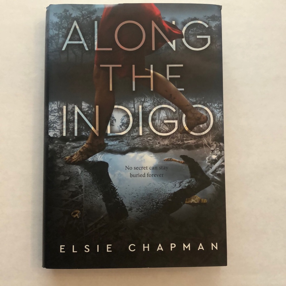 Along The Indigo by Elsie Chapman Hardcover Book